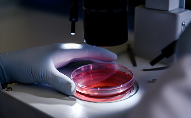 Micro Biological Testing
